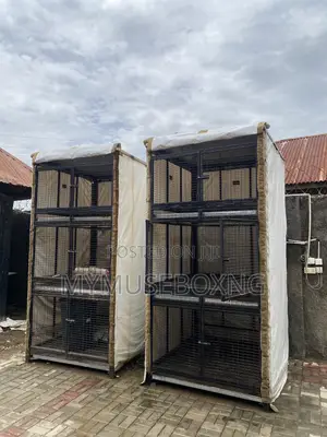 Chicken Cage