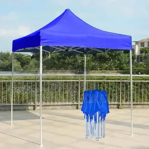 Imported Foldable Canopy for Outdoor (10*10 Feet)