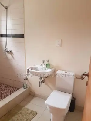 Furnished 2bdrm Duplex in Ikeja Gra for rent