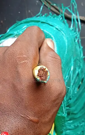 50mm and 25mm Single Flexible Cable Wire