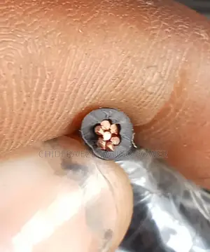 4mm Lion Cable Wire Original Pure Copper Cable Wire