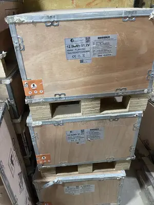 12.5kwh Lithium Ion Battery Felicity Much Available
