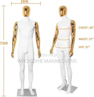 White and Chrome Gold Male Mannequin Chest 38"
