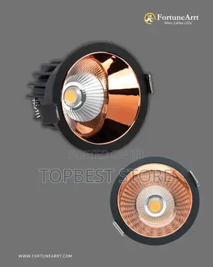 Classic Best Ceiling Spot Light