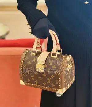 Louis Vuitton Luxury Hand Bag