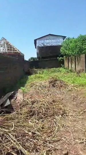 Half Plot of Land
