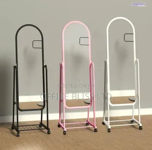 Ladies Standing/Moveable Dressing Mirror( All Colours Available)