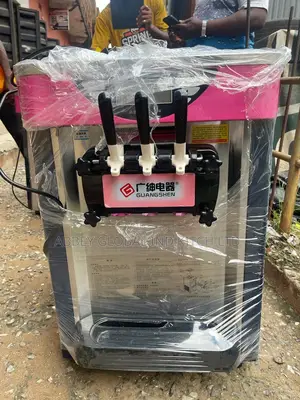 Ice Cream Machine Stainless