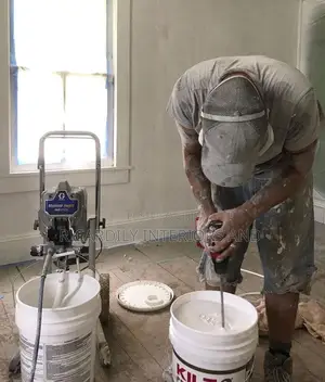 Professional Painter