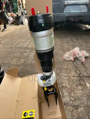Balloon Shock Absorber