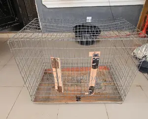 Big Dog Cage