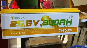 300ah 24v Ecolion Lithium Battery (7.68kwh) — Strong Backup