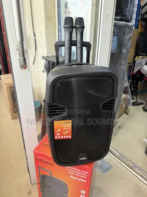 Sonymax 12 Inches Public Addressing System With 2 Wireless Microphones