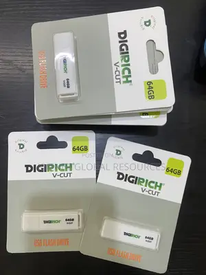 64gb Digi Rich Flash Drive