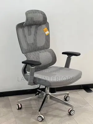 Premium Ergonomic Office Chair (Mesh)