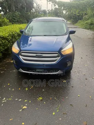 Ford Escape Titanium 4x4 2018 Blue