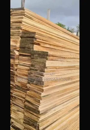 Plywood for Roofing and Other
