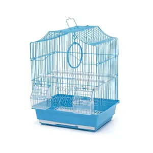 Birds Cage