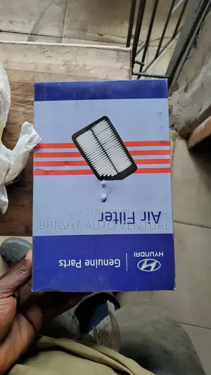 Air Filter for Hyundai Elantra 2012,2013,2014