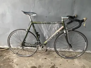 Raleigh Adult Sport Bicycle