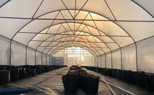 Greenhouses