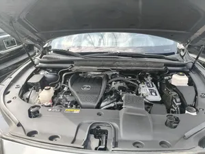 Lexus RX 2024 Gray