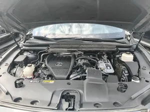 Lexus RX 2024 Gray