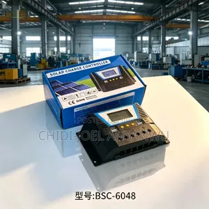 60a PWM Charger Controller