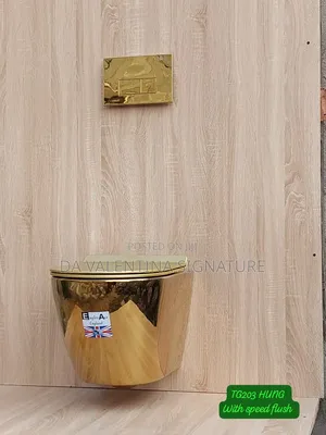 Luxurious Gold Conceal Water Closet