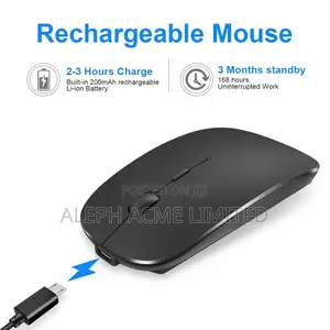 Wholesale 2.4ghz Rechargeable Wireless Mouse Souvenir Gift