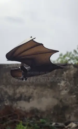 Sculpted Bat