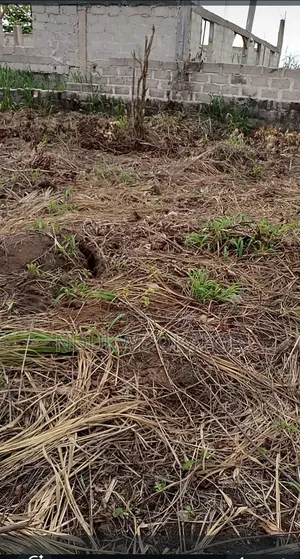 Estate Acquired Land