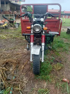 Tricycle 2019 Red