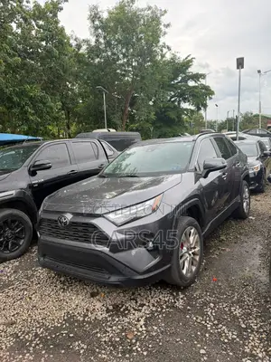 Toyota RAV4 2022 Gray