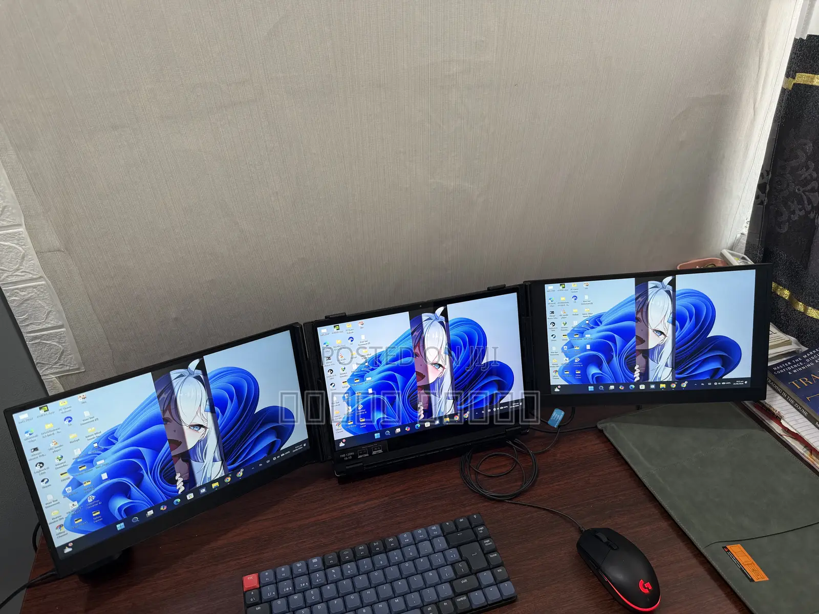 Dual Foldable Monitor