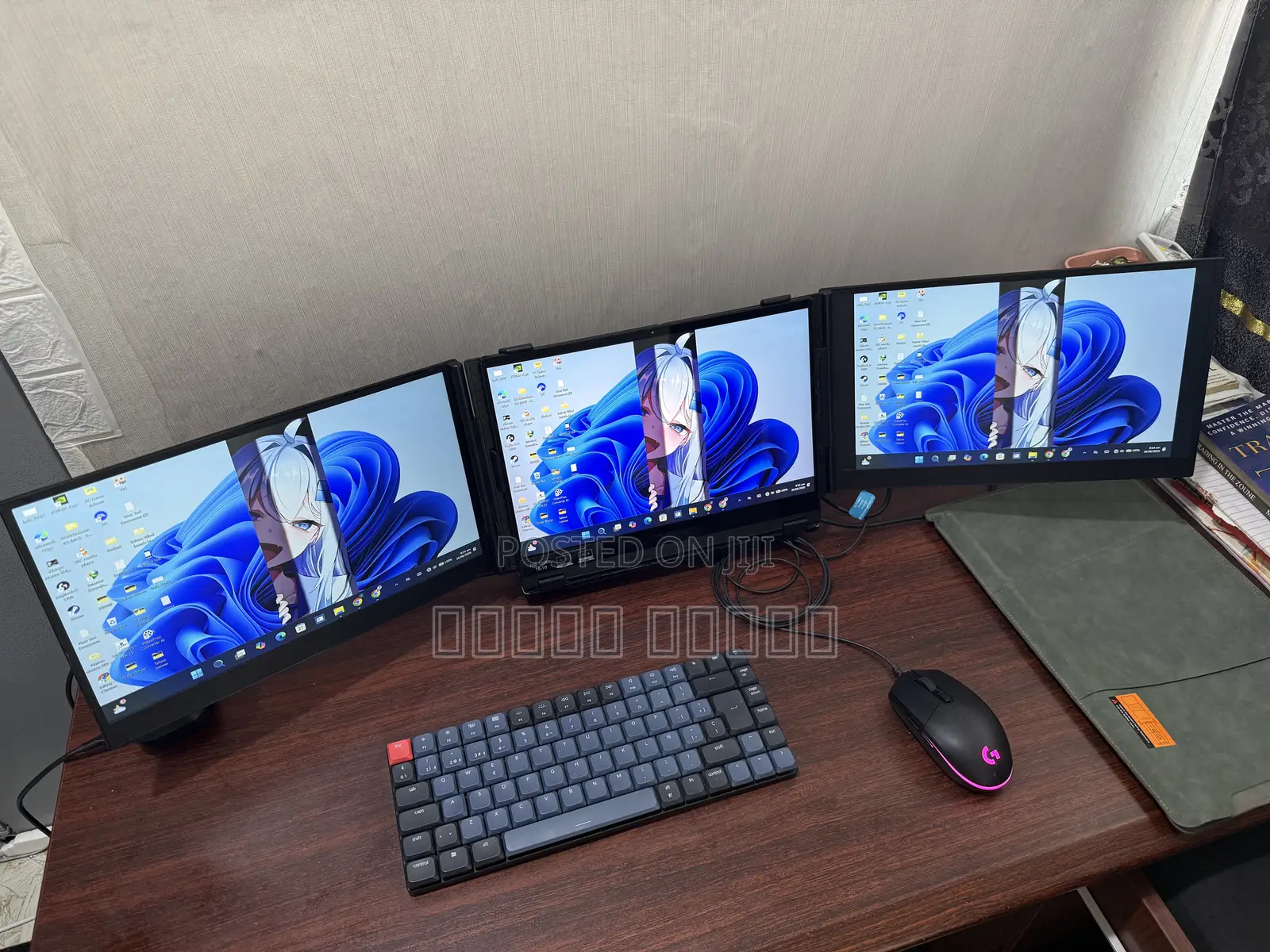 Dual Foldable Monitor