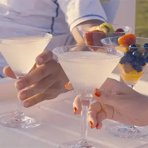Acrylic Martini Cup(1pcs)