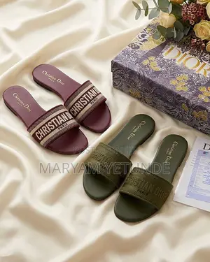 Luxury Christian Dior Slippers