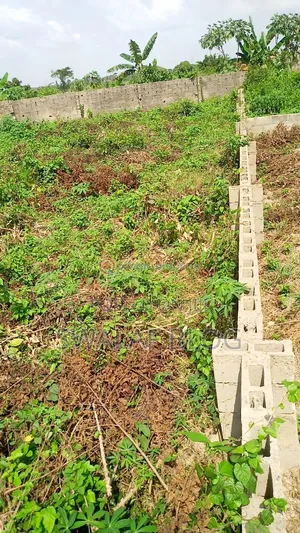 Land in Ikorodu Elepete After Soldier, Okemuti, Igbolomu