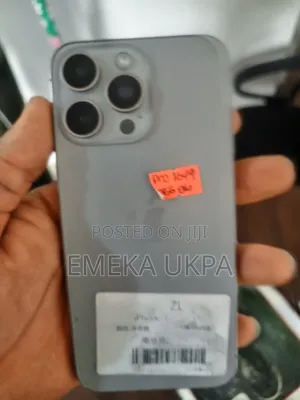 Apple iPhone 15 Pro Max 256 GB Gray