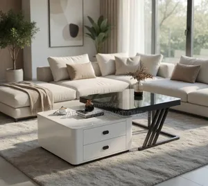 Modern 2-1 Marble Coffee Center Table