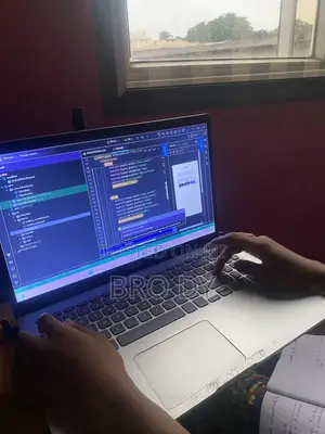 Website Developer