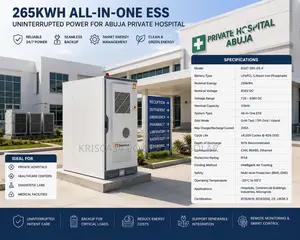265kwh All-in-One Ess Uninterrupted Power for Abuja Private Hospital