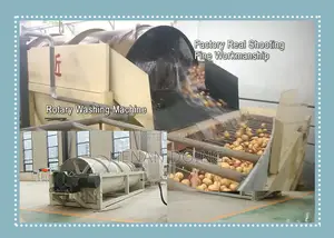 Automatic Washing Machine for Potato Starch Production Line
