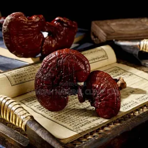 Ganoderma Mushroom