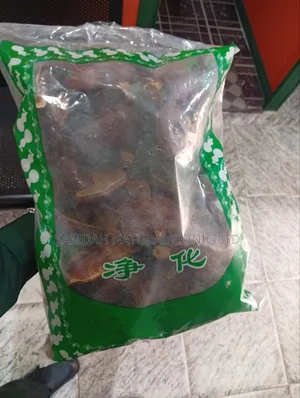Ganoderma Mushroom