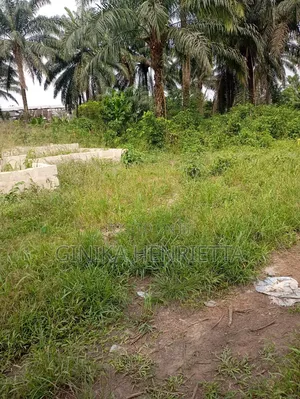 Buy Your Land