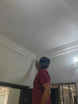 Professional Painting Service