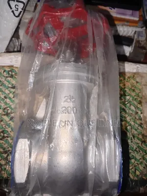 21⁄2 Stainless Steel Gate Valve