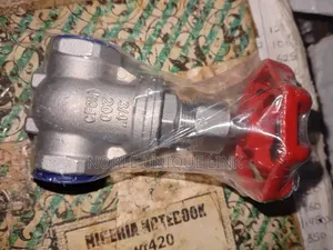 3⁄4 Stainless Steel Gate Valve